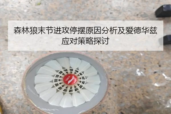 森林狼末节进攻停摆原因分析及爱德华兹应对策略探讨